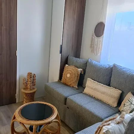 Mobil-home Neuf 4-6 Places Siblu Les Viviers Lège-Cap-Ferret