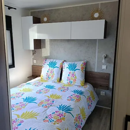 Mobil-home Neuf 4-6 Places Siblu Les Viviers *